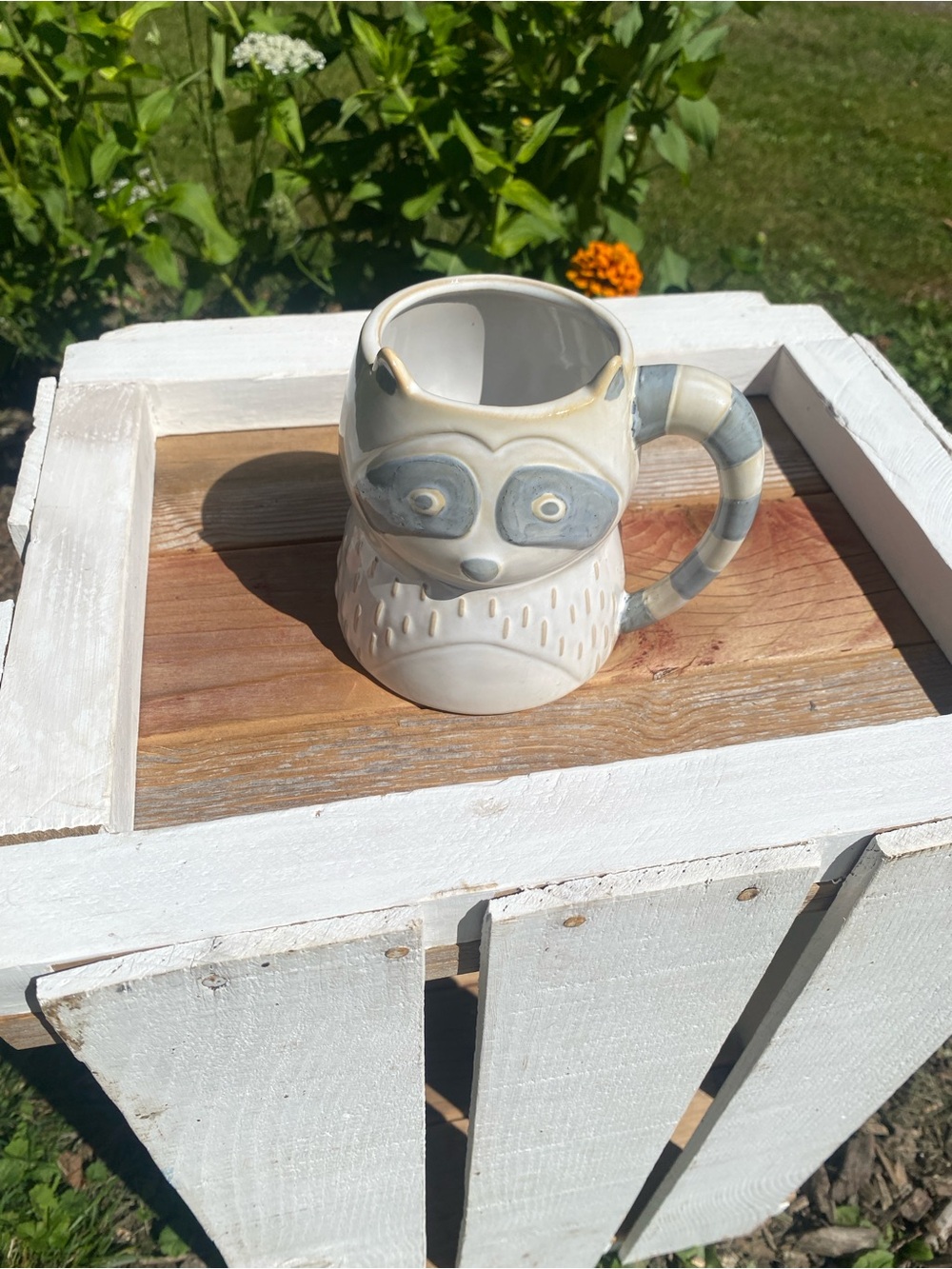 Cute Raccoon Mug